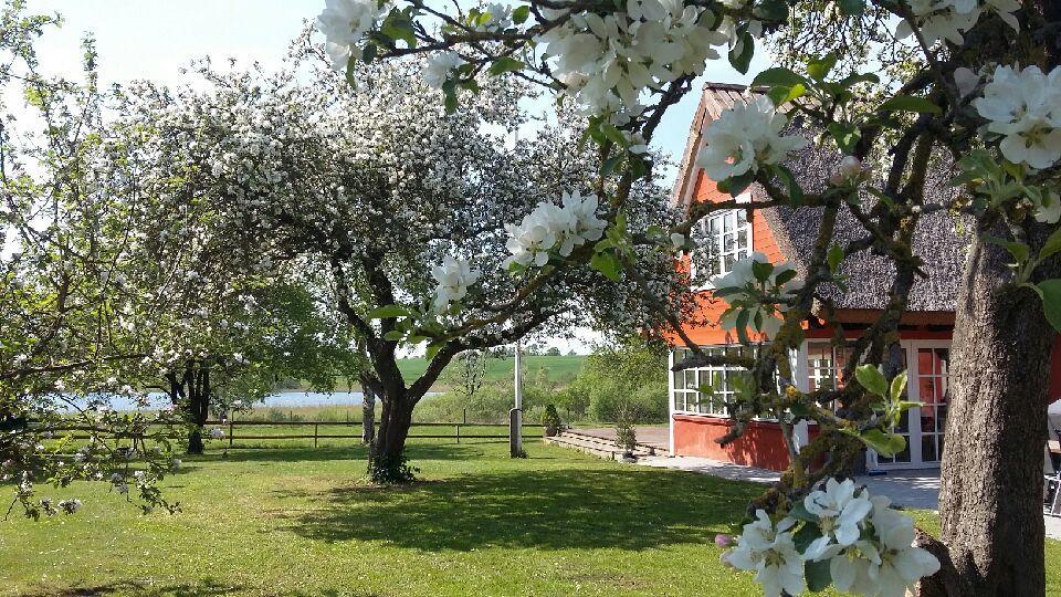 Bed and Breakfast Soegaardensbb Stenlose Экстерьер фото